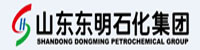 山东东明石化集团部署合力天下防泄密系统